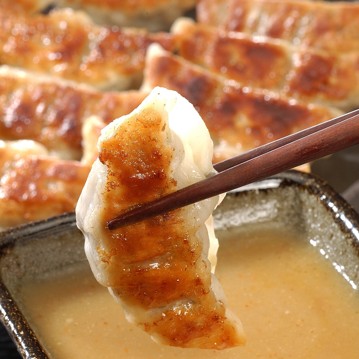 芦屋 伊東屋謹製「黒豚餃子」1折・「九条葱のねぎ餃子」1折・「地鶏餃子」1 折セット 【ギフト商品】