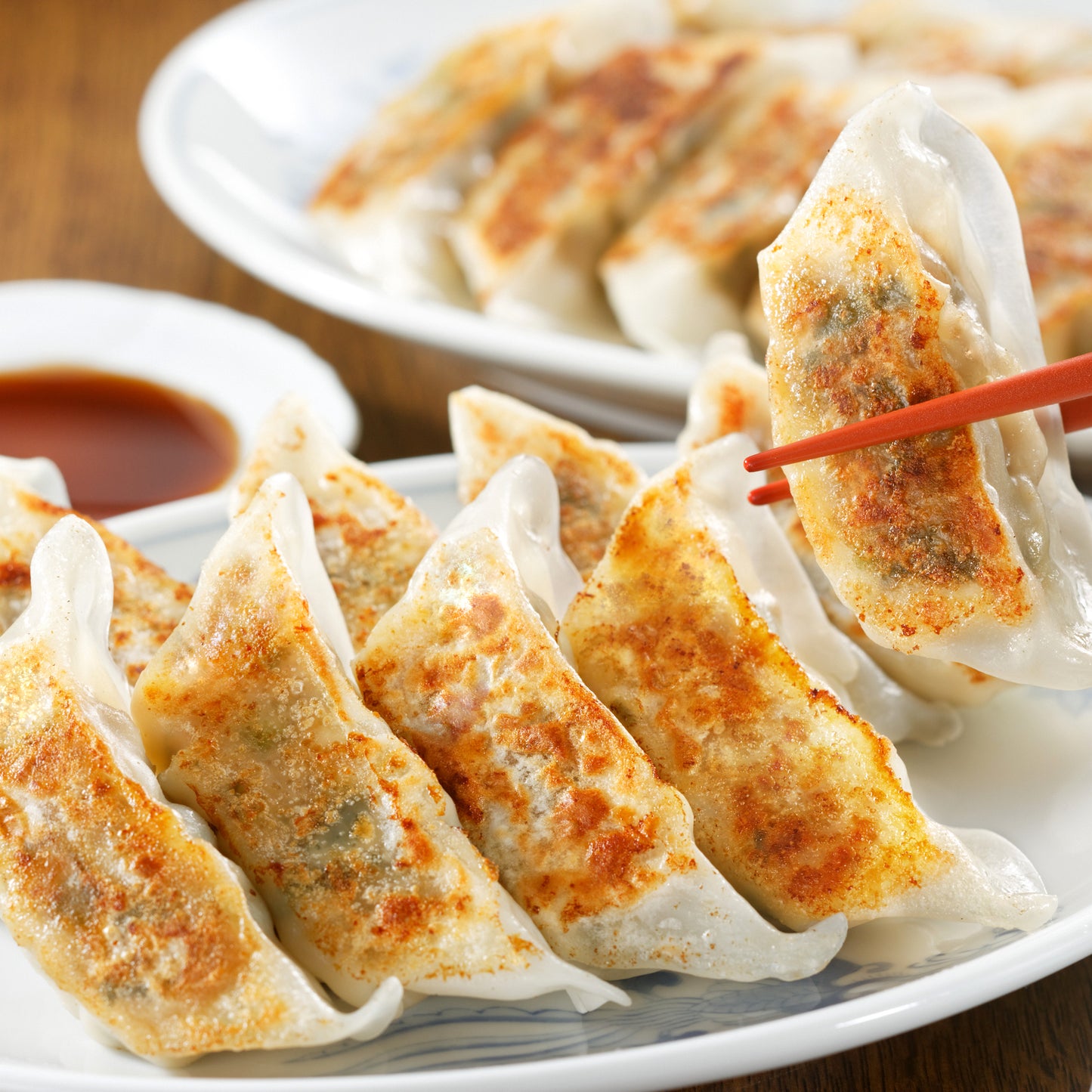 芦屋 伊東屋謹製「九条葱のねぎ餃子」